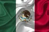 Bandera Mexicana para servicios de inspeccion en español